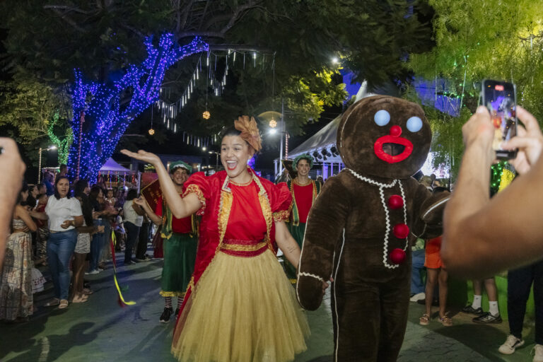 Natal de Arte e Luz - Geniane Vieira-2589