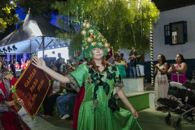 Natal de Arte e Luz - Geniane Vieira-2591