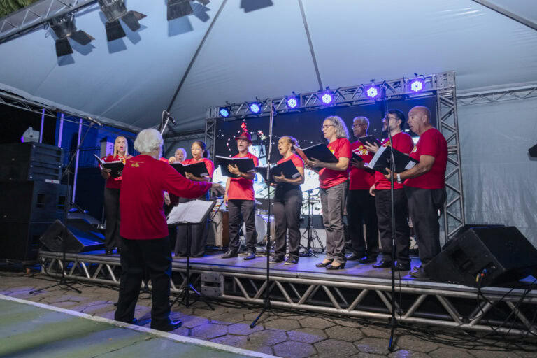 Natal de Arte e Luz - Geniane Vieira-2655