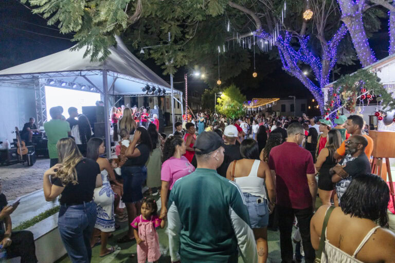 Natal de Arte e Luz - Geniane Vieira-2708