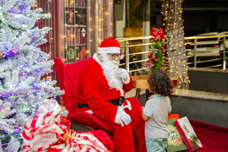 Natal de Arte e Luz - Geniane Vieira-4500