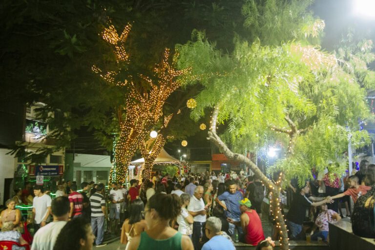 Natal de Arte e Luz - Geniane Vieira-7131