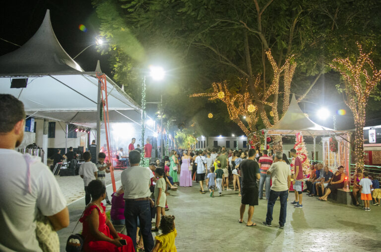 Natal de Arte e Luz - Geniane Vieira-7146