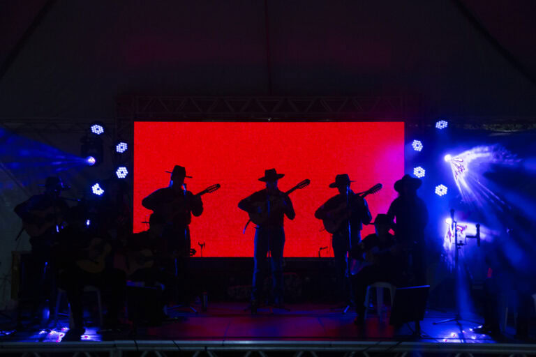 Som de Minas _ Geniane Vieira -0512